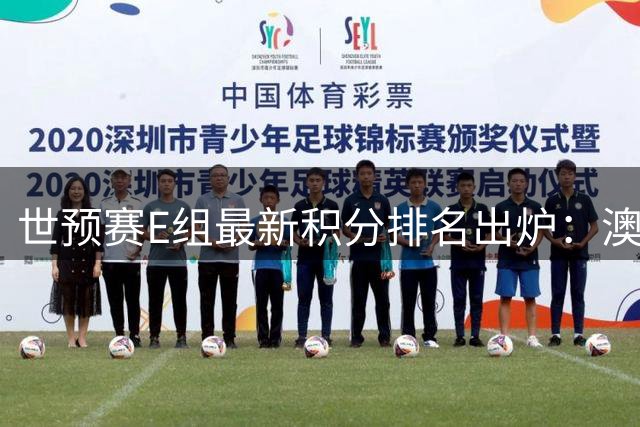 世预赛E组最新积分排名出炉：澳新两队领跑 伊朗紧随其后